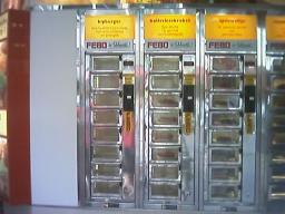 Fried food vending machine